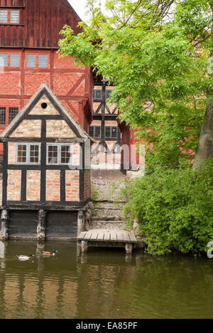 Århus Altstadt Dock. Halbe Fachwerk und gemauerten Häuser der alten Aarhus gruppieren sich um einen hölzernen Dock.  Enten vorbeischweben auf dem Wasser. Stockfoto