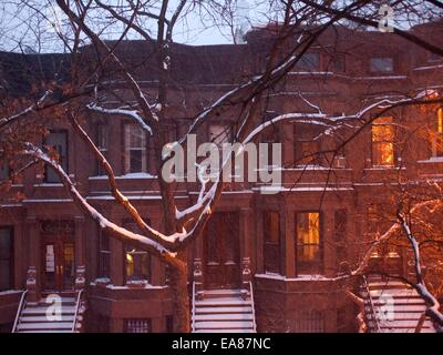 Brooklyn Brownstone-Häusern und Bäumen im Schneesturm in der Dämmerung... Stockfoto