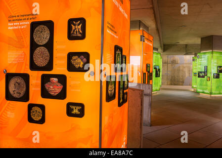 Menschlichen Fußabdruck Galerie am Biomuseo/Brücke des Lebens Stockfoto