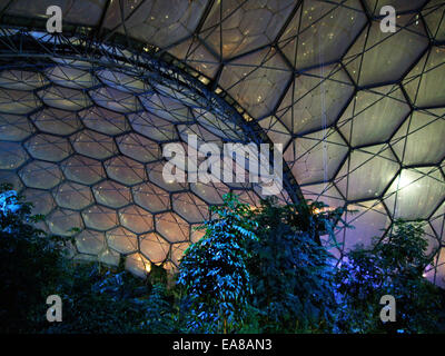 Innen beleuchtet die Flut feuchten Tropen Biom im Eden Project in der Weihnachtszeit in der Nacht nach oben auf dem Dach Bodelva St Austel Stockfoto