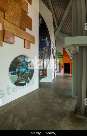 Galerie der Biodiversität bei Biomuseo / Brücke des Lebens Stockfoto