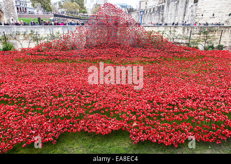 Gedenk an Keramik Mohnblumen im Graben an der Tower of London. Die Mohnblumen Gedenken an den 100. Jahrestag des ersten Weltkriegs. Millionen haben die Installation von 880.000 Keramik Mohnblumen Künstlers Paul Cummins besucht.  Die Mohnblumen Gedenken an den 100. Jahrestag des ersten Weltkriegs. London, UK.  6. November 2014 Stockfoto