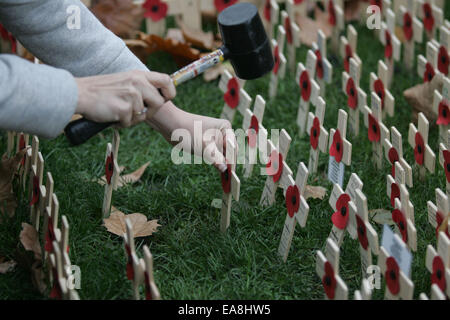 London, UK. 8. November 2014. Eine Frau legt die Kreuze im Feld Erinnerung außerhalb der Westminster Abbey in London, UK, auf 8. November 2014. Tausende von Mohn und Kreuze sind gepflanzt, im Feld Erinnerung außerhalb der Westminster Abbey, um denen zu gedenken, die während des ersten Weltkriegs gestorben sind. Bildnachweis: Bimal Gautam/Xinhua/Alamy Live-Nachrichten Stockfoto