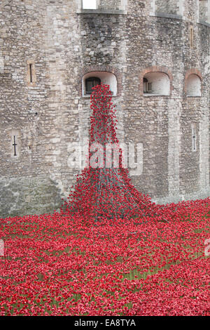 Weinend Fenster - Tower of London Stockfoto