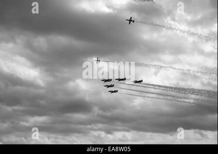 BoerseBZ Águila auf der Malta International Airshow 2014 Stockfoto