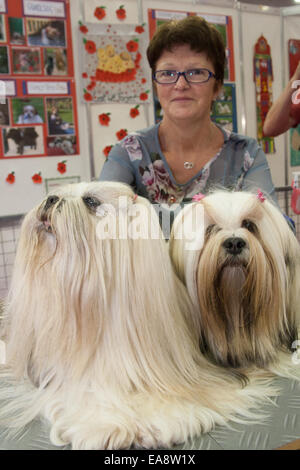 Earls Court, London, 9. November 2014. Doglovers, Züchter und Petcare Unternehmen aus ganz Großbritannien konvergieren im Earls Court Exhibition Centre für die 19. entdecken Hunde-Ausstellung, organisiert von der Kennel Club. Mehr als 200 Rassen sind auf der Messe vertreten, wo Veranstalter ändern möchten, öffentliche Wahrnehmung über die Hunde, sie wählen, so dass sie der Eigentümer Lebensstil, anstatt für ihr Aussehen gewählt wird. Bild: Eine Frau posiert mit ihren zwei Lahasa Apsos. Bildnachweis: Paul Davey/Alamy Live-Nachrichten Stockfoto