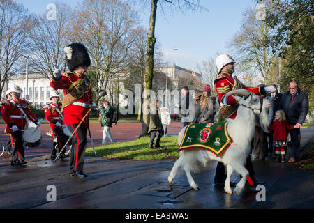 Cardiff, Wales, UK. 9. November 2014.  Royal Regiment of Wales Eingabe Cathays Park für der hundertjährigen Gedenkgottesdienst Credit: Owain Thomas/Alamy Live News Stockfoto