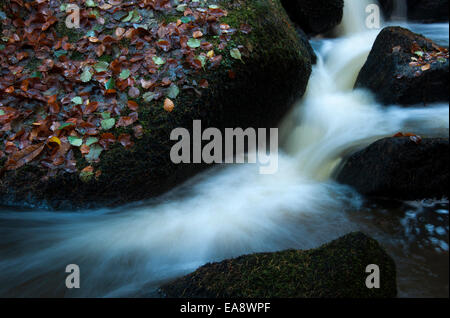 Wasser fließt zwischen Felsen in Herbst Laub bedeckt. Wyming Bach in der Nähe von Sheffield, England. Stockfoto