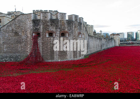 Blut Mehrfrequenzdarstellung Länder und Meere rot, Kunstinstallation im Tower of London Graben. Zum Gedenken an die Hundertjahrfeier des Beginns des ersten Weltkriegs Stockfoto