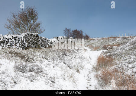 Steinwand neben dem Schnee bedeckt Wanderweg führt zum Coombes Rand Charlesworth, Derbyshire. Stockfoto