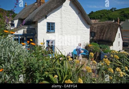 Weiß lackiertes strohgedeckte Hütten in Cadgwith auf der Lizard Halbinsel Kerrier South West Cornwall South West England UK Stockfoto