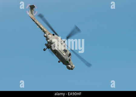 Cosford, UK - 8. Juni 2014: A Royal Navy Westland Lynx Hubschrauber, Anzeige bei der RAF Cosford Airshow. Stockfoto