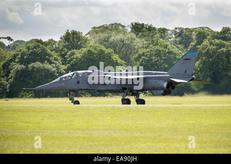 Cosford, UK - 8. Juni 2014: RAF Jaguar Kampfflugzeuge auf RAF Cosford Airshow zu sehen. Stockfoto