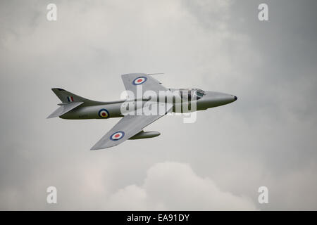 Cosford, UK - 8. Juni 2014: Luft-Geschwader Hawker Hunter T7, Anzeige bei der RAF Cosford Airshow. Stockfoto