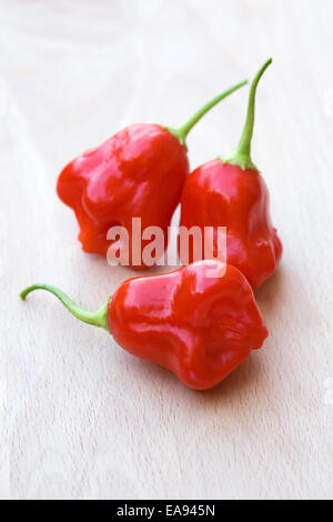 Capsicum Annuum 'Scotch Bonnet'. Chilis auf einem Holzbrett. Stockfoto