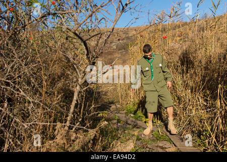 Scout, sorgfältig weichen auf eine schmale Log-Brücke über einen Bach, wie er in seiner Uniform ein Wildnis-Trail durchquert Stockfoto