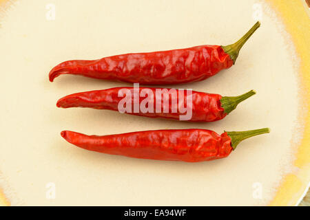 Würzige Hoy rote Chilischoten. Stockfoto