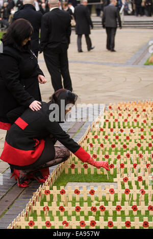 Belfast, Nordirland. 9. November 2014. Eine junge Frau pflanzt ein hölzernes Kreuz zur Erinnerung an das Kenotaph in Belfast. Stockfoto