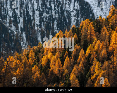 herbstliche Berglandschaft in der Nähe von St. Moritz - Engadin-Schweiz Stockfoto