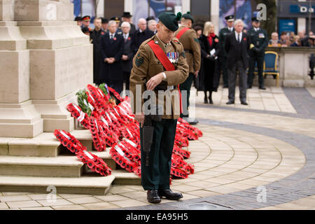 Belfast, Nordirland. 9. November 2014. Ein Mitglied der Partei Farbe auf die am Cenotaph in Belfast zum Gedenken an den nationalen Tag des Gedenkens Stockfoto