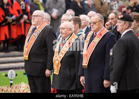 Belfast, Nordirland. 9. November 2014. Mitglieder der Belfast Orange Großloge am Cenotaph in Belfast zum Gedenken an den nationalen Tag des Gedenkens Stockfoto