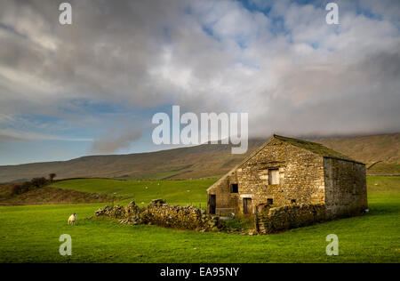 Scheune unter den Hängen des Whernside fiel, Yorkshire Dales, UK Stockfoto