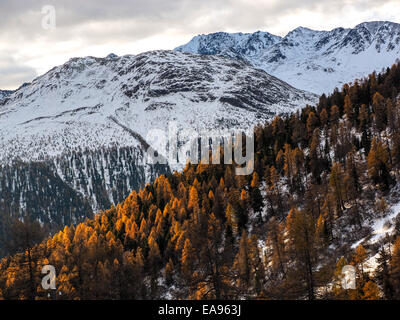 herbstliche Berglandschaft in der Nähe von St. Moritz - Engadin-Schweiz Stockfoto