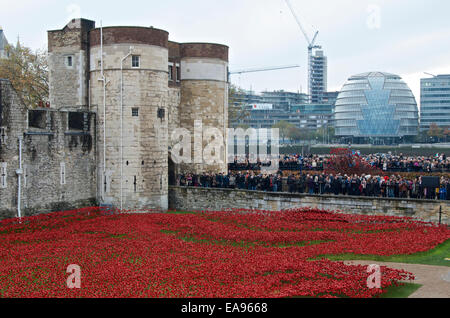 Kundenansturm am Morgen des Gedenkens Sonntag, 9. November 2014 in den Tower of London, die Mohnblumen im Graben zu sehen. Stockfoto