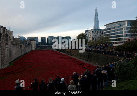 Kundenansturm in den frühen Morgenstunden des Gedenkens Sonntag, 9. November 2014 in den Tower of London, die Mohnblumen im Graben zu sehen. Stockfoto
