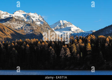 herbstliche Berglandschaft in der Nähe von St. Moritz - Engadin-Schweiz Stockfoto