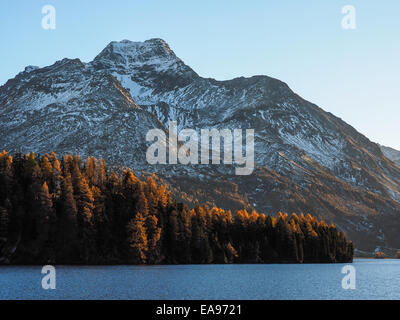 herbstliche Berglandschaft in der Nähe von St. Moritz - Engadin-Schweiz Stockfoto