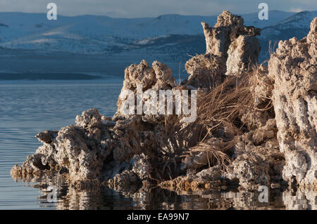 Tuffstein-Bildung am Mono Lake im winter Stockfoto