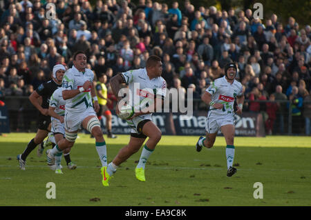 Rugby in bearn Stockfoto