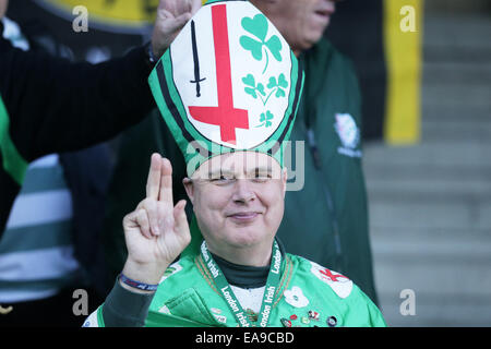 High Wycombe, England. 9. November 2014. LV-Cup Rugby. Wespen im Vergleich zu London Iren. London Irish Unterstützer. Bildnachweis: Aktion Plus Sport/Alamy Live-Nachrichten Stockfoto