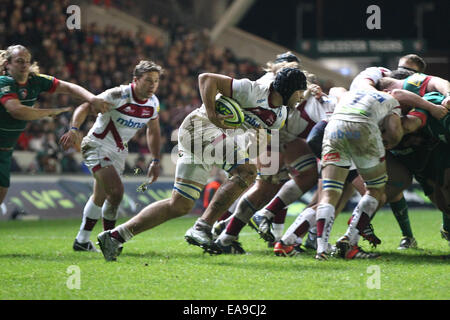 Leicester, UK. 9. November 2014. LV-Cup Rugby. Leicester Tigers im Vergleich zu verkaufen. Josh Beaumont (Sohn von England-Legende Billy) Vertrieb Haie setzt - off von der Basis der Scrum. Bildnachweis: Aktion Plus Sport/Alamy Live-Nachrichten Stockfoto