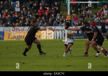 Rugby in bearn Stockfoto