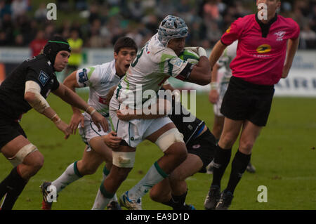 Rugby in bearn Stockfoto