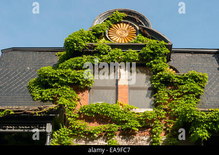 Efeu an einem Haus Plateau Mont-Royal Montreal Kanada Stockfoto