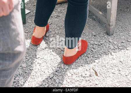 Wandern der Frühlings-Flohmarkt Stockfoto