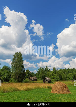 Klassische Heuernte in Belarus-Dorf Stockfoto