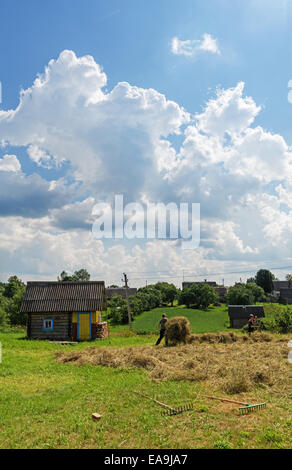Klassische Heuernte in Belarus-Dorf. Stockfoto