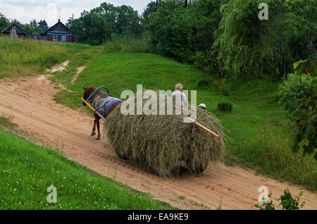 Klassische Heuernte in Belarus-Dorf Stockfoto