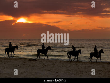 Slilhouette der vier Reiter auf den Nordsee-Strand in den Niederlanden Stockfoto