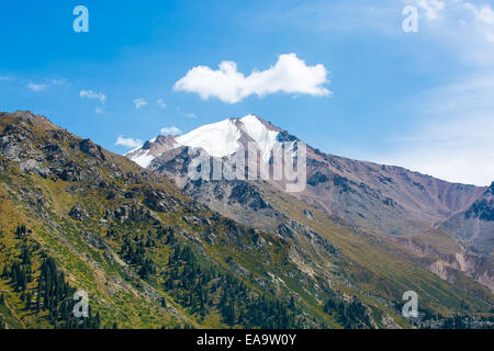 Natur in der Nähe von Big Almaty-See, Tien-Shan-Gebirge in Almaty, Kasachstan, Asien im Sommer Stockfoto