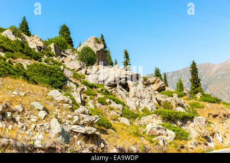 Natur in der Nähe von Big Almaty-See, Tien-Shan-Gebirge in Almaty, Kasachstan, Asien im Sommer Stockfoto