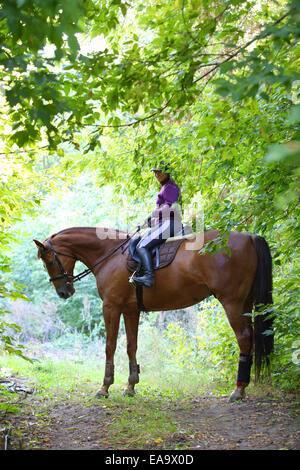 Frau reitet ihr Pferd im Wald an einem Sommertag Stockfoto