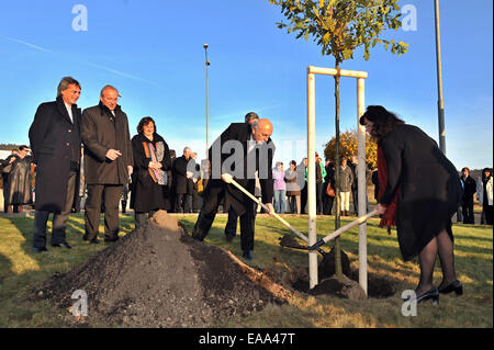 Folmava, Domazlice Region. 8. November 2014. Festveranstaltung zum 25. Jubiläum von dem Fall des Eisernen Vorhangs in Folmava, Domazlice Region, Tschechische Republik, 8. November 2014. Im Bild von links Regierungspräsident der Oberpfalz Axel Bartelt, Franz Loffler des Provinzrates von Cham Bezirk, Gouverneur von Pilsen Region Vaclav Slajs und tschechischen Minister für Arbeit und soziale Angelegenheiten Michaela Marksova Tominova bei der Pflanzung der Eiche, deutscher Nationalbaum. © Pavel Nemecek/CTK Foto/Alamy Live-Nachrichten Stockfoto