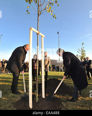 Folmava, Domazlice Region. 8. November 2014. Festveranstaltung zum 25. Jubiläum von dem Fall des Eisernen Vorhangs in Folmava, Domazlice Region, Tschechische Republik, 8. November 2014. Im Bild von links Regierungspräsident der Oberpfalz Axel Bartelt und Franz Loffler des Provinzrates von Cham Bezirk bei der Pflanzung der Eiche, deutscher Nationalbaum. © Pavel Nemecek/CTK Foto/Alamy Live-Nachrichten Stockfoto