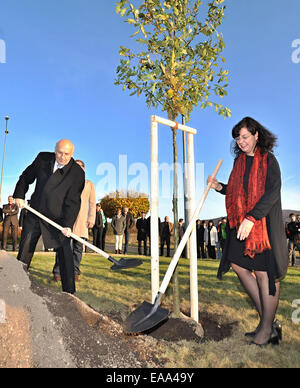 Folmava, Domazlice Region. 8. November 2014. Festveranstaltung zum 25. Jubiläum von dem Fall des Eisernen Vorhangs in Folmava, Domazlice Region, Tschechische Republik, 8. November 2014. Im Bild von links Gouverneur von Pilsen Region Vaclav Slajs und tschechischen Minister für Arbeit und soziale Angelegenheiten Michaela Marksova Tominova bei der Pflanzung der Eiche, deutscher Nationalbaum. © Pavel Nemecek/CTK Foto/Alamy Live-Nachrichten Stockfoto