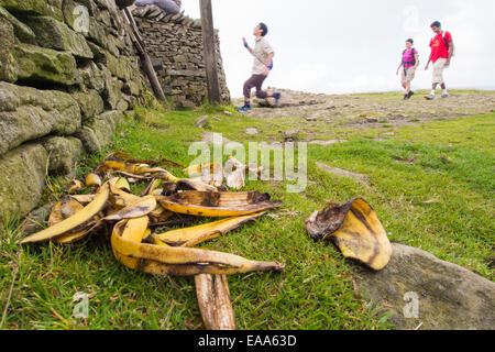 Bananenschalen links durch rücksichtslose Wanderer auf dem Gipfel des Penyghent in den Yorkshire Dales, UK. Stockfoto